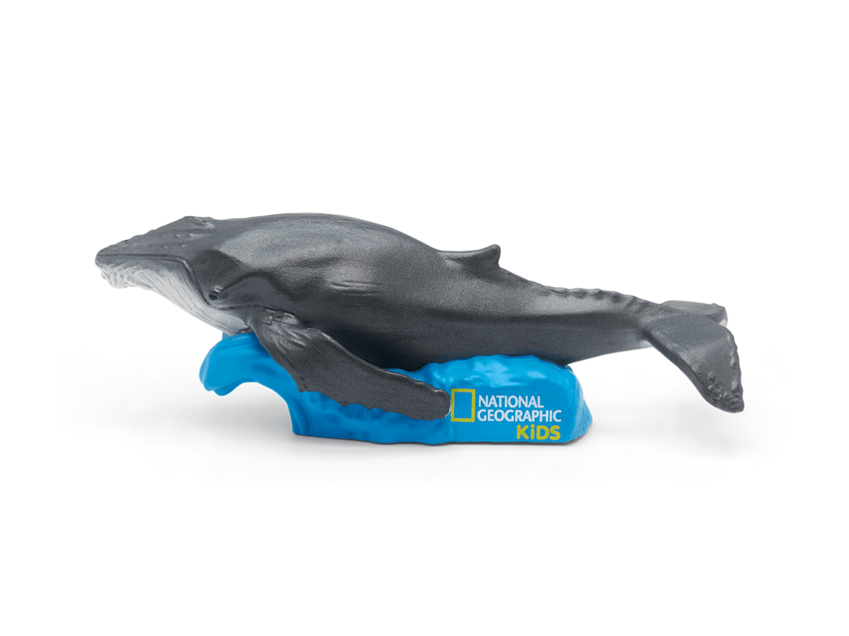 National Geographic Kids 7 Tonies Set - Image 7