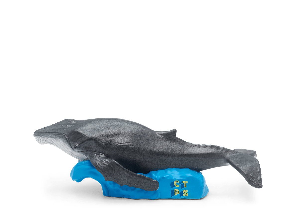 National Geographic Kids: Whale Tonie - Image 8